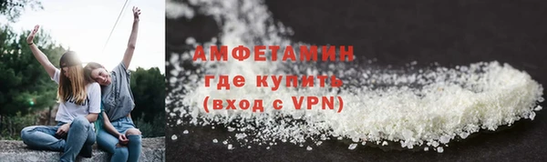 прущие грибы Абаза